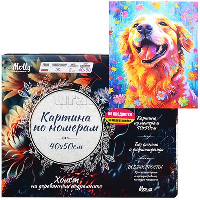 Картина по номерам 40х50 "Золотистый ретривер" (29 цветов) НЕ ДЛЯ ПРОДАЖИ НА МАРКЕТПЛЕЙСАХ