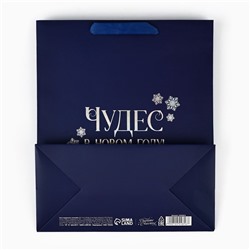 Пакет подарочный новогодний «Чудес в Новом году», голография, ML 23×11.5×27 см
