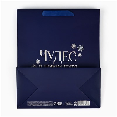 Пакет подарочный новогодний «Чудес в Новом году», голография, ML 23×11.5×27 см