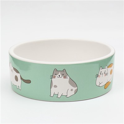 Миска «Котяры», 300 мл, 12.5×12.5×4.5 см, керамика, зелёная, белая