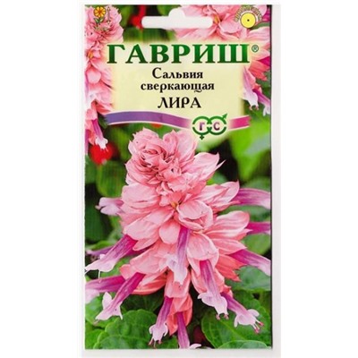 Сальвия Лира (Код: 69157)