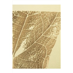 Футболка VILATTE, 1120395