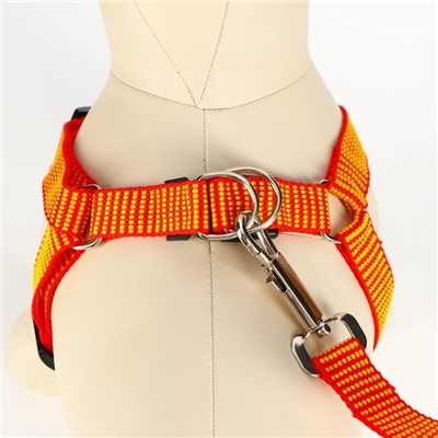 Комплект амуниции рельефный, 2 см, поводок 120 см, красно-жёлтый