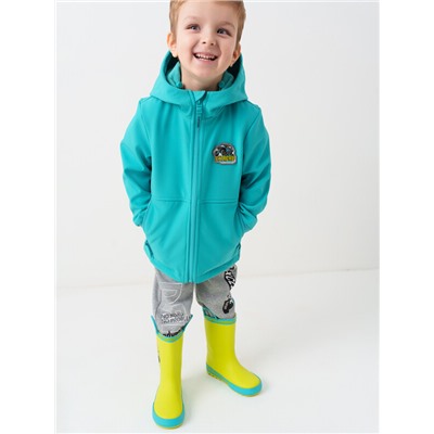 Сапоги резиновые для мальчиков