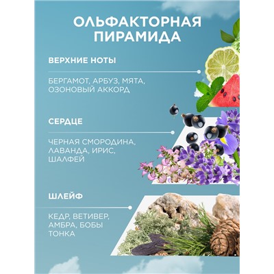 Туалетная вода для мужчин 8 Element Skydive