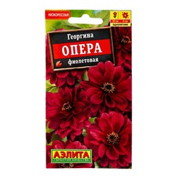Семена цветов Георгина «Опера», фиолетовая, 7 шт., «АЭЛИТА»