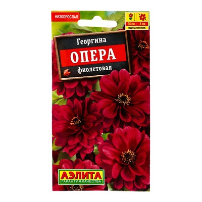 Семена цветов Георгина «Опера», фиолетовая, 7 шт., «АЭЛИТА»