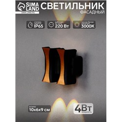 Светильник фасадный «Элегант», 4 Вт, 3000К, 2 луча, IP65, 220 В, пластиковый корпус, чёрный, свечение тёплое белое