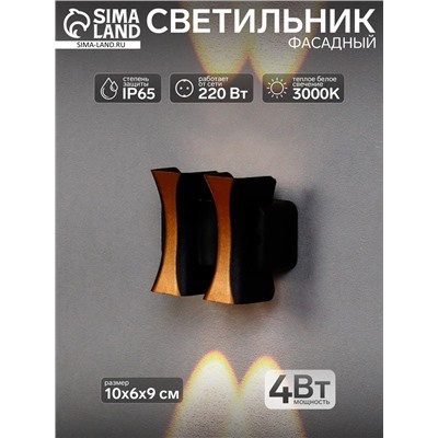 Светильник фасадный «Элегант», 4 Вт, 3000К, 2 луча, IP65, 220 В, пластиковый корпус, чёрный, свечение тёплое белое