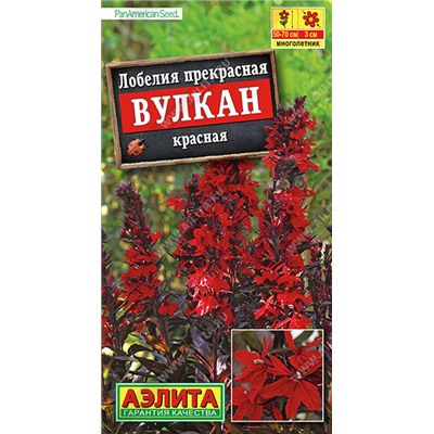 1603A Лобелия Вулкан красная 5 шт