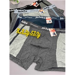 трусы  мужские ( уп 2шт)