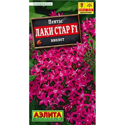 1702A Пентас Лаки стар F1 виолет 3 шт