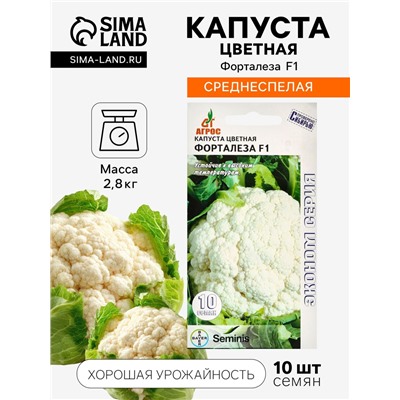 Семена Капуста цветная, «Форталеза», F1, 10 шт., Seminis, «Агрос»