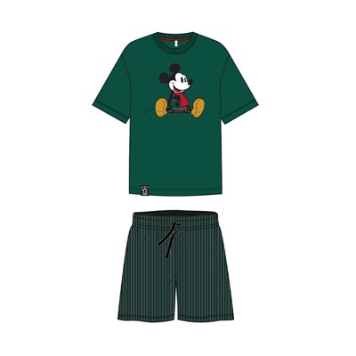 Комплект для мальчиков: фуфайка (футболка) трикотажная, шорты текстильные