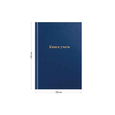 Книга учета, 192 листа, обложка бумвинил, блок газетный, клетка, синяя