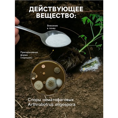 Средство от болезней растений «Флагрин-Д» (Нематодин), 100 г