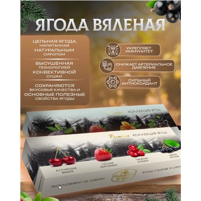 Набор подарочный PREMIUM "Коллекция ягод" (вишня, земляника, клюква, арония), 260 г/ Сибирская ягода