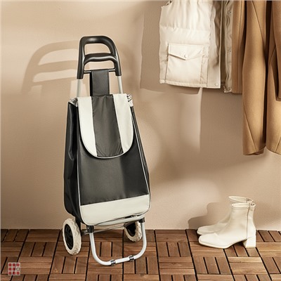 Тележка + сумка, грузоподъемностью до 30кг, колесо D16мм