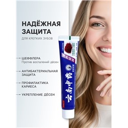 Зубная паста китайская традиционная на травах с шеффлерой, противовоспалительная, 110 г