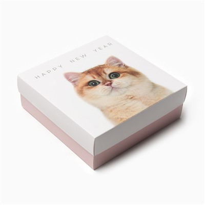 Набор новогодний подарочный KAFTAN «Киса», маска, носки размер 36-39 (23-25 см), открытка 2 шт.