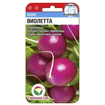 Редис Виолетта (Сиб сад)