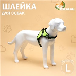 Шлейка улучшенная К7, размер L, ОГ 64-86 см, вес 18- 27.5 кг, мягкая, светоотражающая, зеленая