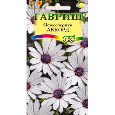Остеоспермум Аккорд (белый) (Код: 11007)