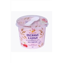 Хлопья овсяные с малиной и белым шоколадом, стаканчик с ложкой 45г ЭКОПРОДУКТЫ, 1185006