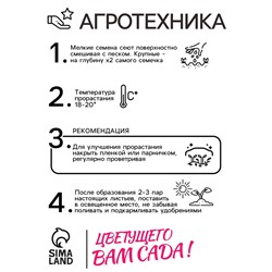 Семена цветов пеларгония «Кабаре садовая», 0.025 г