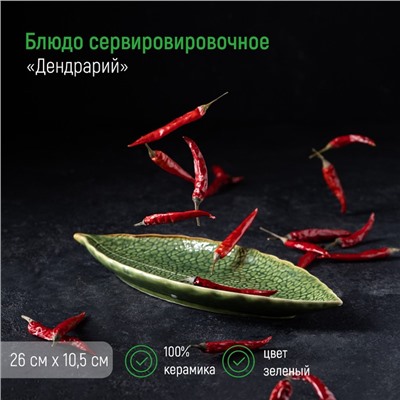 Блюдо керамическое сервировочное «Дендрарий», 26×10,5×1,5 см, цвет зелёный