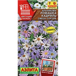 1333A Брахикома Ромашка кадриль, смесь сортов 0,1 г