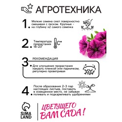 Семена цветов Петуния "Фиолетовый леопард",  F1, 5 шт