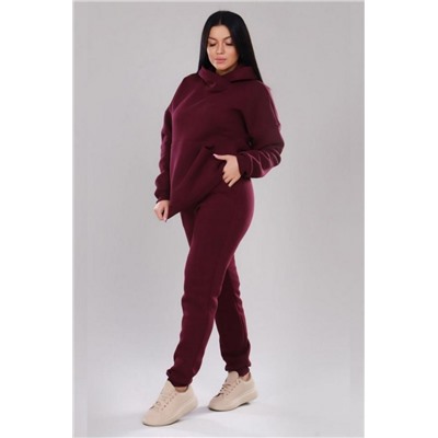 399 Костюм с начесом (Сливовый)