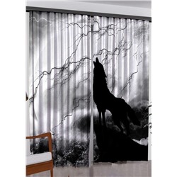 Фотошторы #23062476