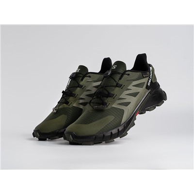 Кроссовки Salomon Alphacross 5 GTX