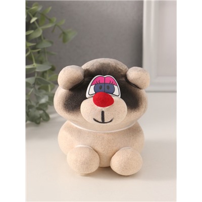 Набор для выращивания «ЭкоЖивчик. Енот», фигурка растущая в подарочной упаковке