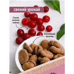 Клюква вяленая в темном шоколаде / 150 г / дой-пак / ТМ Сибирский кедр