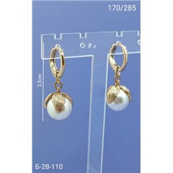 Серьги #22953038