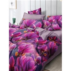 Текс-плюс КПБ Общий 00000000841