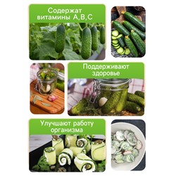 Семена Огурец «Изящный», 0.3 г, «Рецепты дедушки Никиты»