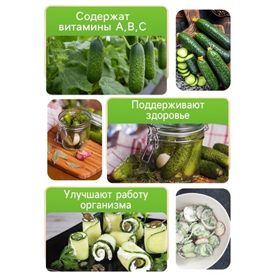 Семена Огурец «Изящный», 0.3 г, «Рецепты дедушки Никиты»
