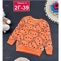 кофта 2059368-4