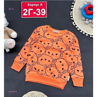 кофта 2059368-4