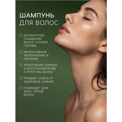 Шампунь для волос DREAM NATURE sylria, 330 мл