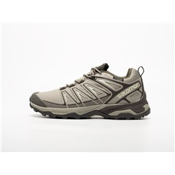 Кроссовки Salomon X Ultra Pioneer