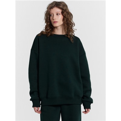 КОМПЛЕКТ ЖЕНСКИЙ (СВИТШОТ, БРЮКИ) 192562