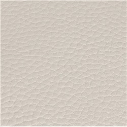 Bags Сумка женская / кожа /     0318131