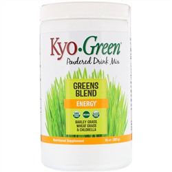 Kyolic, Kyo-Green, сухая смесь для напитка, 10 унций (283 г)