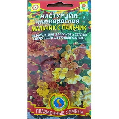 Настурция Мальчик с Пальчик (Код: 91216)