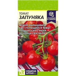 Томат Запуняка (Алтай)